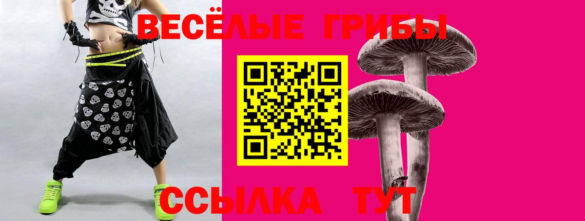 Псилоцибиновые грибы прущие грибы  Вход с VPN  Ржев 