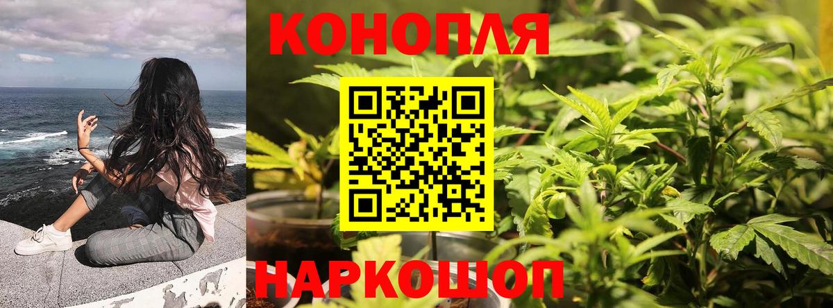 Канабис White Widow  Канабис сатива  Каннабис конопля  Ржев  Вход с VPN 